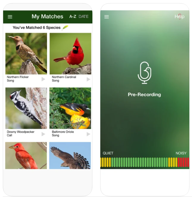 BirdGenie iPhone App Review