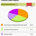 Diet and Food Tracker App for Android Review
