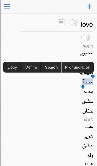 Arabic Dictionary App for iPhone