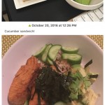 Simple Food Diary iPhone App Review
