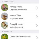 ChirpOMatic USA Bird Song Recognition iPhone App Review