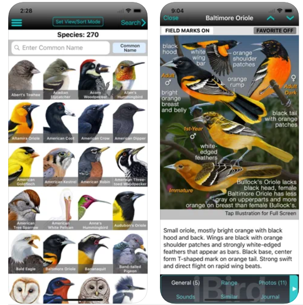 iBird Yard Guide to Birds iPhone App