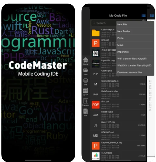 CodeMaster Mobile Coding IDE iPhone App