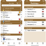 Packing Pro Travel Packing List Assistant iPhone App Review