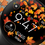 Seasonal Watch Animated  Android App Review